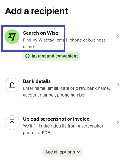 Wise payment step 4