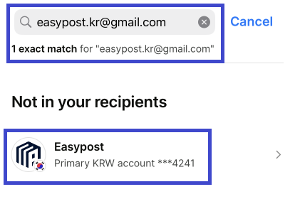 Wise payment step 5