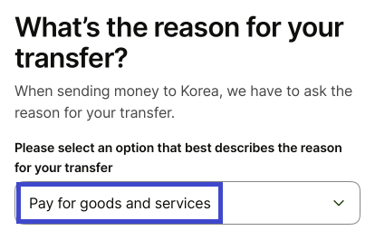 Wise payment step 6